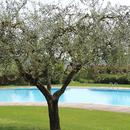 Beautiful With Pool *